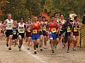2010CIF XC BD5-0912
